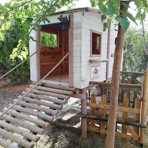  Vakantieboerderij Azienda Agrituristica Le Betulle Italië